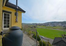 buedesheim-8.jpg